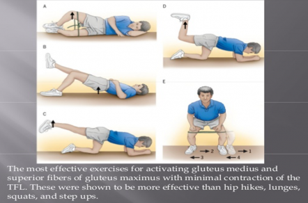 Buttock muscle exercises