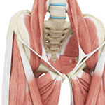 Hip Tendonitis